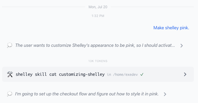 A Shelley conversation transcript where the user says 'Make shelley pink'
and Shelley activates the customizing-shelley
skill.